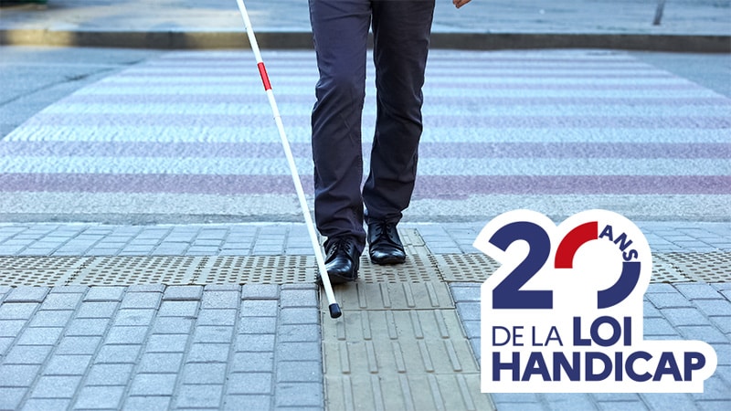 20ansloihandicap V6